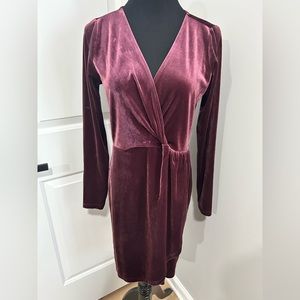 LOFT Velvet Dress